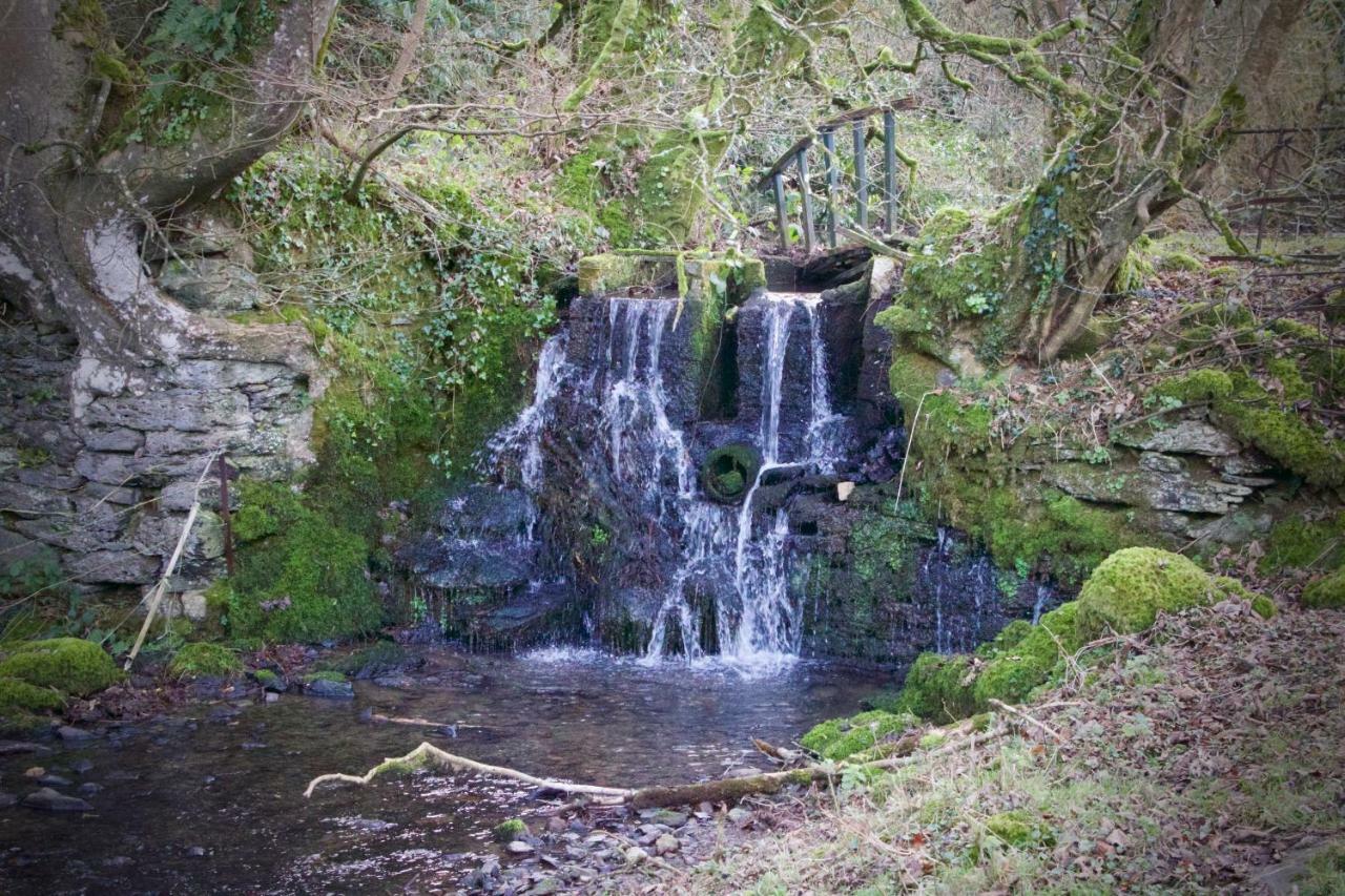 Waterfall Cottage Launceston Dış mekan fotoğraf